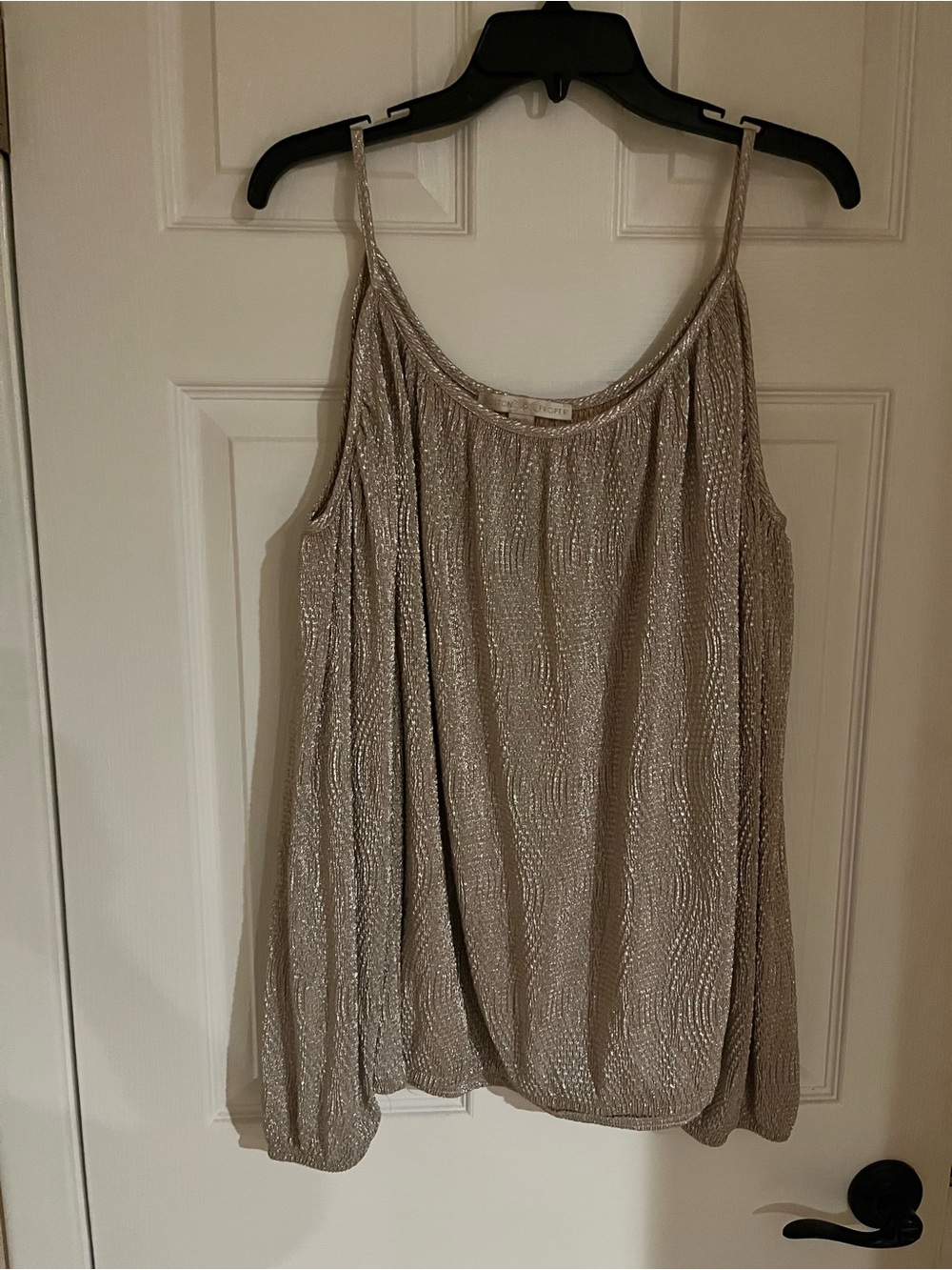 Boston Proper Metallic Taupe Shimmer Camisole